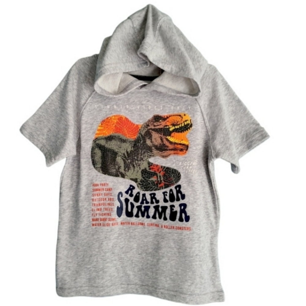 365Kids Boys Dinosaur graphic short sleeve hooded tee, gray, 5